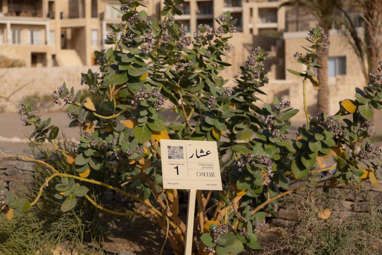 Wadi Sabarah Lodge Marsa Alam Εξωτερικό φωτογραφία